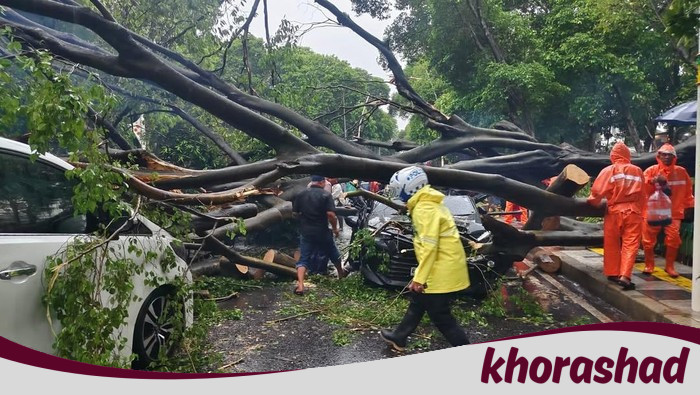 **Hujan Ekstrem di Jakarta: Catat Nomor Posko Pohon Tumbang untuk Keamanan Anda**