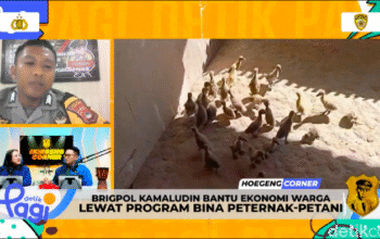 Asa Brigpol Kamaludin Lahirkan Ekonomi Desa dengan Bantu Peternak-Petani NTB