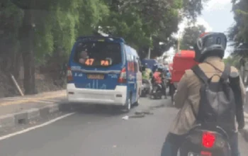 “Akhir Cerita Sanca Panjang Melata di Jaksel: Tragedi yang Membuat Pengendara Waspadai…”