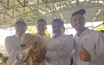 “Momen Menarik Raffi Ahmad dan Irfan Hakim: Main ke Kandang Domba Nusakambangan”