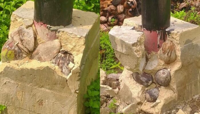 Viral! Tiang Listrik Sambas Retak, Ditemukan Isi Mengejutkan dalam Pondasinya