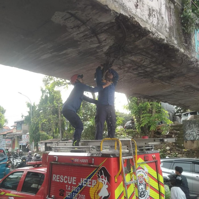 Truk Kontainer Nyangkut, Jembatan Air di Kedunghalang Bogor Bocor, Warga Heboh!