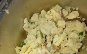 **Siswa SMAN 6 Medan Terancam oleh Temuan Cacing Tanah di Sajian MBG, Kadisdik Sumut Jelaskan**