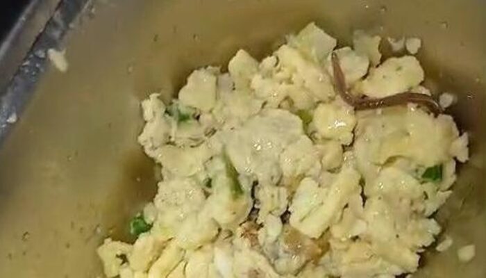 **Siswa SMAN 6 Medan Terancam oleh Temuan Cacing Tanah di Sajian MBG, Kadisdik Sumut Jelaskan**