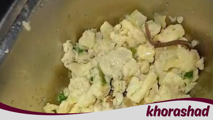 **Siswa SMAN 6 Medan Terancam oleh Temuan Cacing Tanah di Sajian MBG, Kadisdik Sumut Jelaskan**