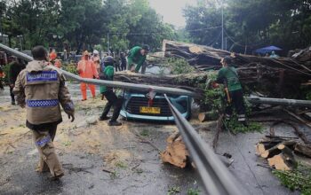 “Pohon Tumbang, Warga Gelisah: DKI Baru Bergerak Setelah Tragedi”
