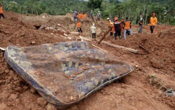 **9 Anjing Pelacak Tim SAR Luncurkan Operasi Cari Korban Longsor Cilacap, Pertaruhan Waktu dan Nyawa!**