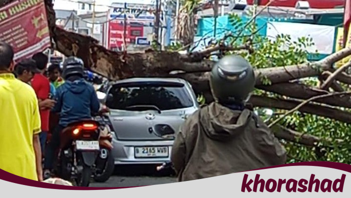 Tak Ada Angin Hujan, Pohon Tumbang Timpa Mobil di Ciputat! Bencana Tak Terduga