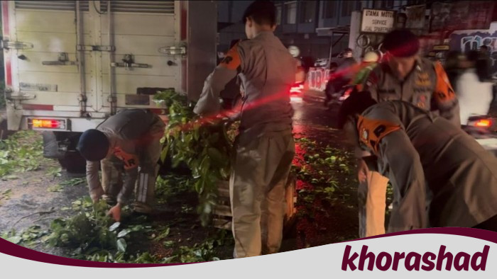 Aksi Brimob Cegah Hambatan, Pohon Tumbang di Ciputat Kini Normal!