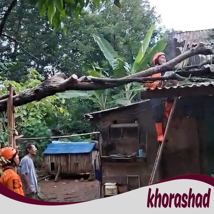 Tragedi Pohon Tumbang di Bogor, Empat Rumah Jadi Korban, Atap dan Dinding Rusak Parah