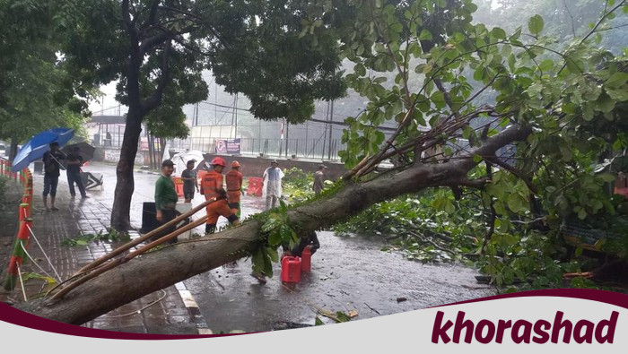 Badai Hujan dan Angin Kencang di Bogor: Tragisnya Pohon Tumbang Timpa Motor