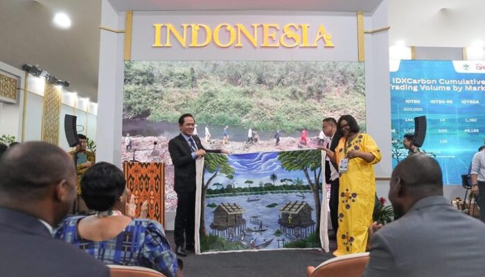 Gambut Si Kunci, Indonesia-Kongo: COP30 Berlatih