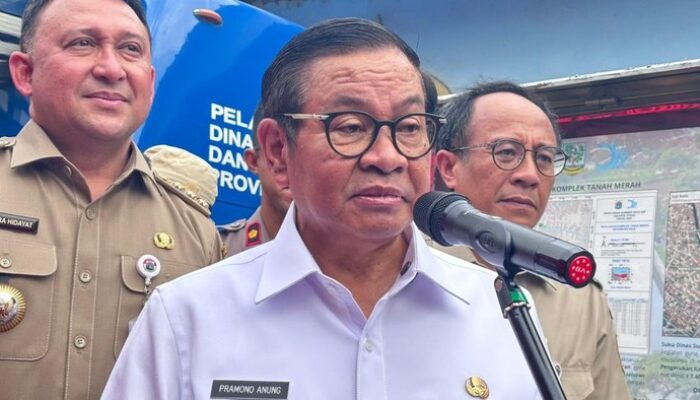 “Kata Pramono Soal Harimau Kurus Ragunan: Mungkinkah Mereka Rindu Kebebasannya?”