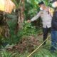 Mayat dalam Karung di Tengah Kebun Pisang: Misteri Tangerang yang Menyedot Perhatian!