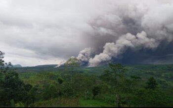 Erupsi Semeru, Puluhan Tambang Diam!