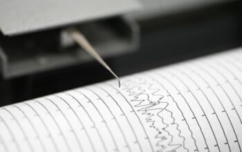 Gempa M 4,4 Hantam Halmahera Barat, Masyarakat Berlindung!