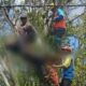 **Tragedi Muda: Pemuda Pemalang Tewas Tersetrum saat Tebang Pohon Cengkeh**