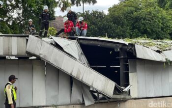 Saat MRT Belum Normal, Petugas Bersihkan Sisa Pohon Tumbang di Senayan: Warga Minta Solusi Darurat