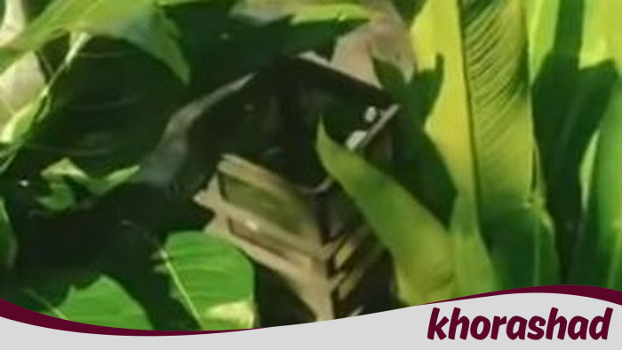 ⚠️ Lampu Taman Cibinong Hilang, Warga Terkejut