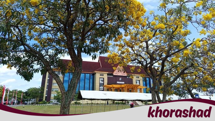 Hari Pohon, Polda Riau Dibuat Sembah dengan Bunga Tabebuya