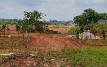 Tanah Lapang yang Bikin Siswa Depok Sesak, Kini Punya Pohon!