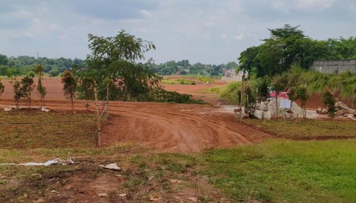 Tanah Lapang yang Bikin Siswa Depok Sesak, Kini Punya Pohon!