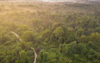 Satgas TNTN Riau Jadi Korban Perusakan, Polda: Akan Ada Konsekuensi