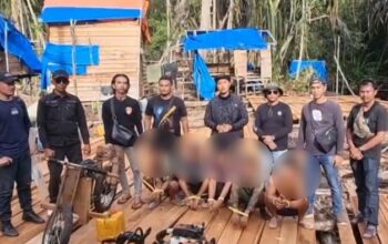 Polres Pelalawan Ungkap Misteri Kayu Gelap, 6 Penjahat Hutan Dihukum!
