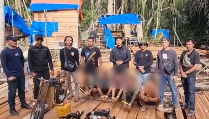 Polres Pelalawan Ungkap Misteri Kayu Gelap, 6 Penjahat Hutan Dihukum!