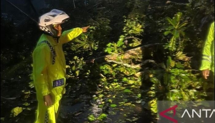 Longsor di Lembah Anai Sumbar, Akses Jalan Padang-Bukittinggi Terputus – Update 2