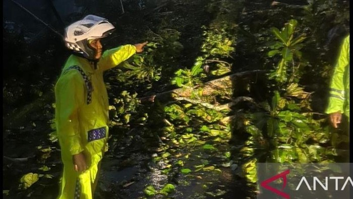 Longsor di Lembah Anai Sumbar, Akses Jalan Padang-Bukittinggi Terputus - Update 2