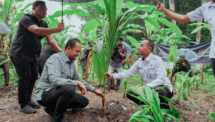 “Tanam Kelapa, Cegah Krisis! Ini Langkah Pemkab Badung”
