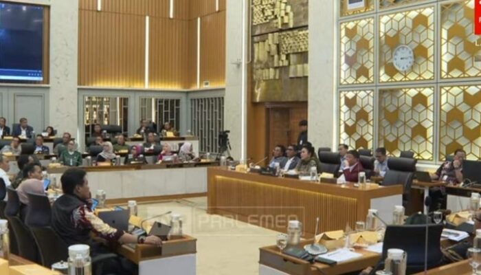 Titiek: Video Kayu Gelondong di Banjir DPR, Sudah Cukup!