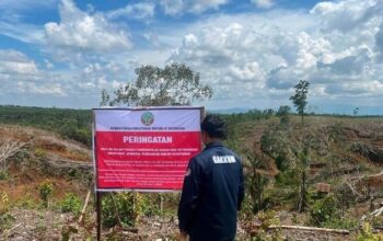 Segel 5 Lokasi Pembalakan Liar, Apakah Banjir Sumatera Akan Berakhir?