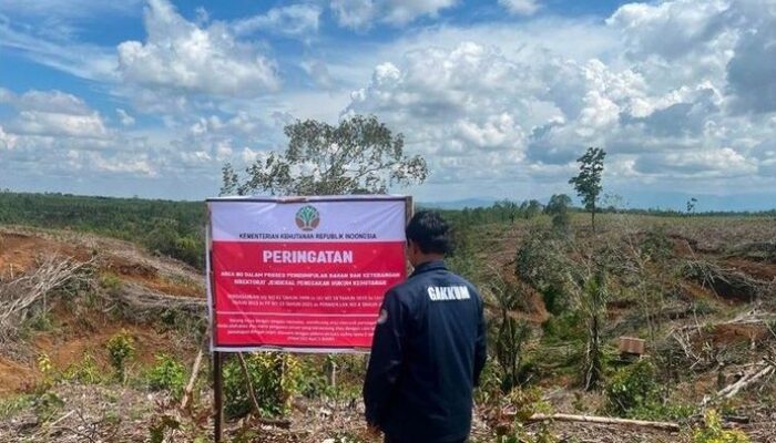 Segel 5 Lokasi Pembalakan Liar, Apakah Banjir Sumatera Akan Berakhir?