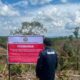 Segel 5 Lokasi Pembalakan Liar, Apakah Banjir Sumatera Akan Berakhir?