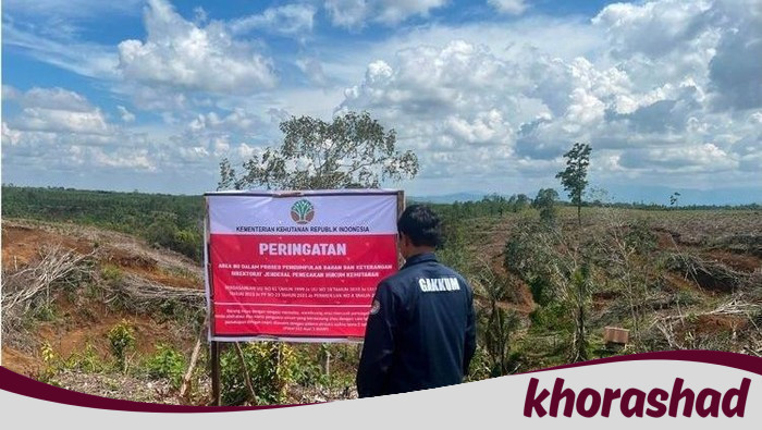 Segel 5 Lokasi Pembalakan Liar, Apakah Banjir Sumatera Akan Berakhir?
