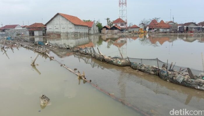 Banjir Rob Melanda! Mitigasi Panduan Wajib untuk Pesisir