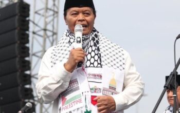 Indonesia Dukung Palestina Bersama HNW