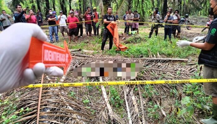 Hilang Sepekan, Jasad Siswa SMK Lampung Ditemukan Membusuk di Kebun Sawit, Tragedi Menyedihkan di tengah Kebun Sawit, Hilang Sepekan, Jasad Siswa SMK Lampung Ditemukan Membusuk, Hilang Sepekan, Jasad Siswa SMK Lampung Ditemukan Membusuk di Kebun Sawit, Hilang Sepekan, Jasad Siswa SMK Lampung Ditemukan Membusuk di Kebun Sawit, Hilang Sepekan, Jasad Siswa SMK Lampung Ditemukan Membusuk di Kebun Sawit, Hilang Sepekan, Jasad Siswa SMK Lampung Ditemukan Membusuk di Kebun Sawit, Hilang Sepekan, Jasad Siswa SMK Lampung Ditemukan Membusuk di Kebun Sawit, Hilang Sepekan, Jasad Siswa SMK Lampung Ditemukan Membusuk di Kebun Sawit, Hilang Sepekan, Jasad Siswa SMK Lampung Ditemukan Membusuk di Kebun Sawit, Hilang Sepekan, Jasad Siswa SMK Lampung Ditemukan Membusuk di Kebun Sawit, Hilang Sepekan, Jasad Siswa SMK Lampung Ditemukan Membusuk di Kebun Sawit
