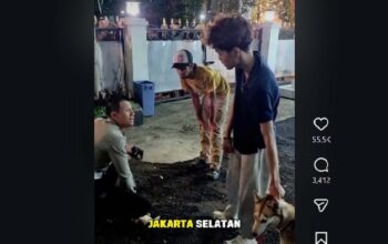 Kucing Jadi Korban Anjing di Bandung, Pemilik Dituntut
