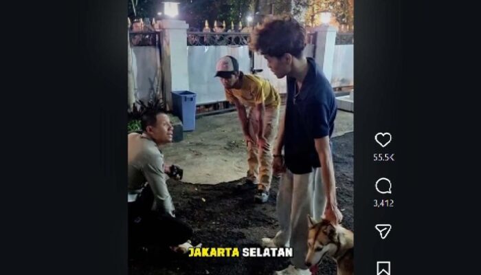 Kucing Jadi Korban Anjing di Bandung, Pemilik Dituntut