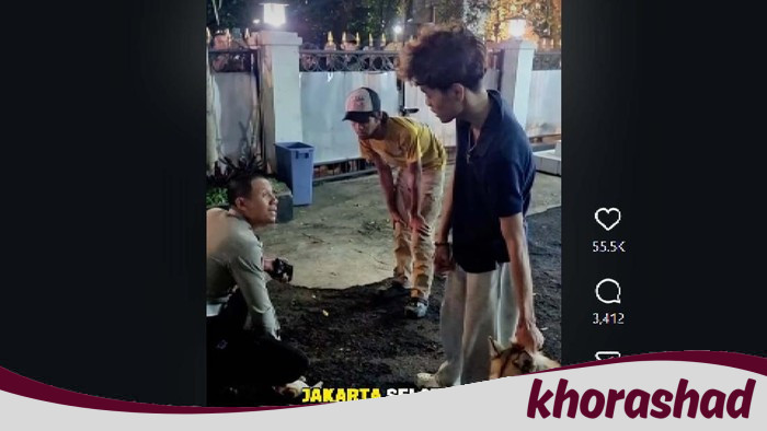 Kucing Jadi Korban Anjing di Bandung, Pemilik Dituntut